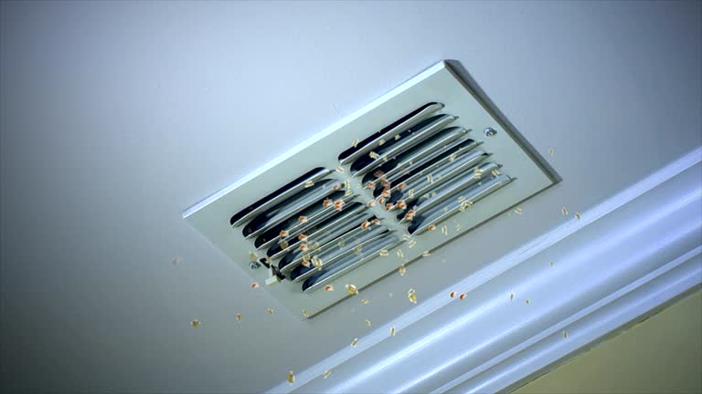 Best Ventilation Cleaning Services  in Foley, AL