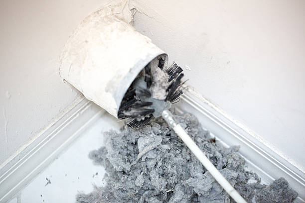 Best Local Air Duct Cleaning Services  in Foley, AL